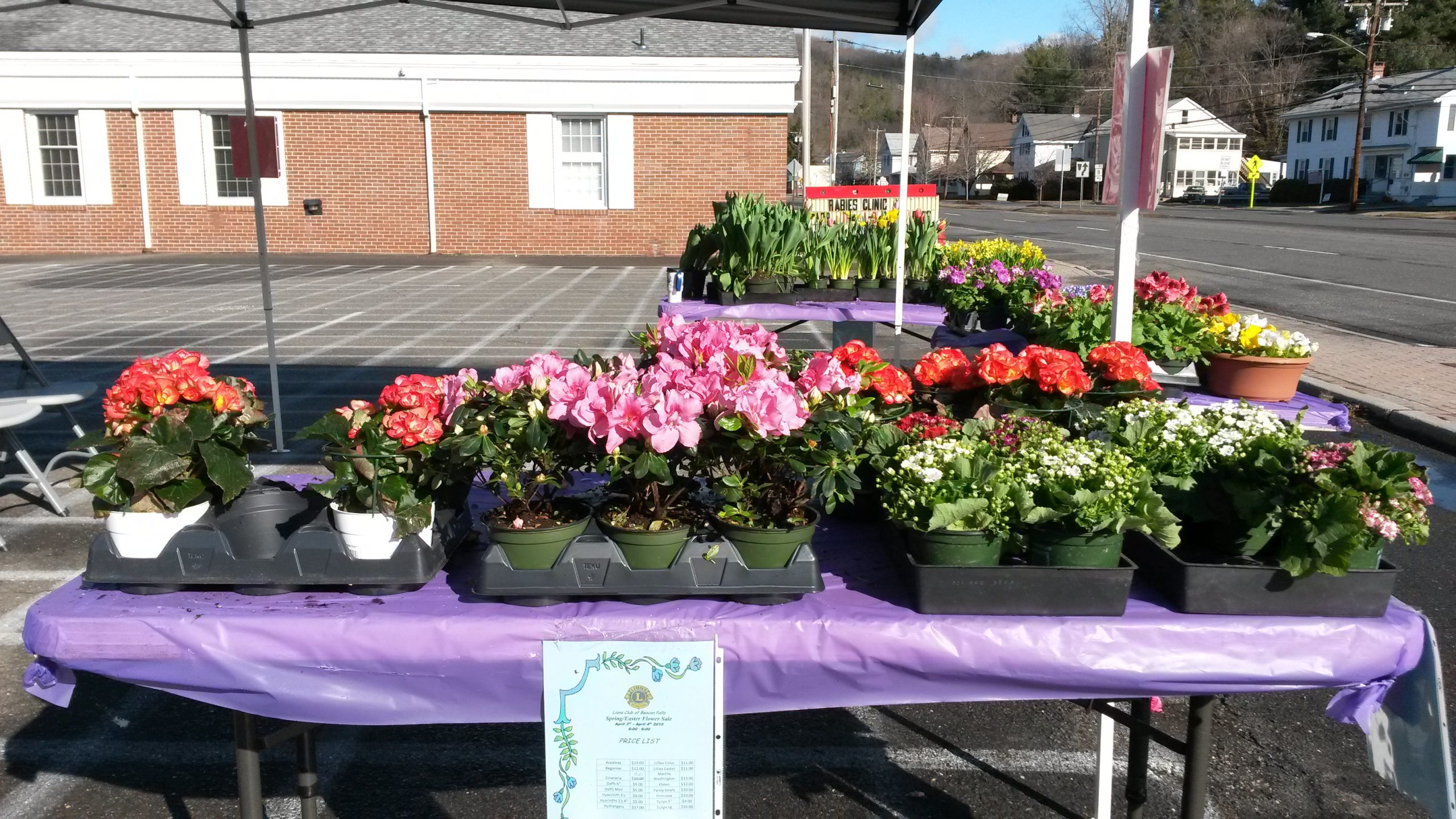 Easter Flower Sale